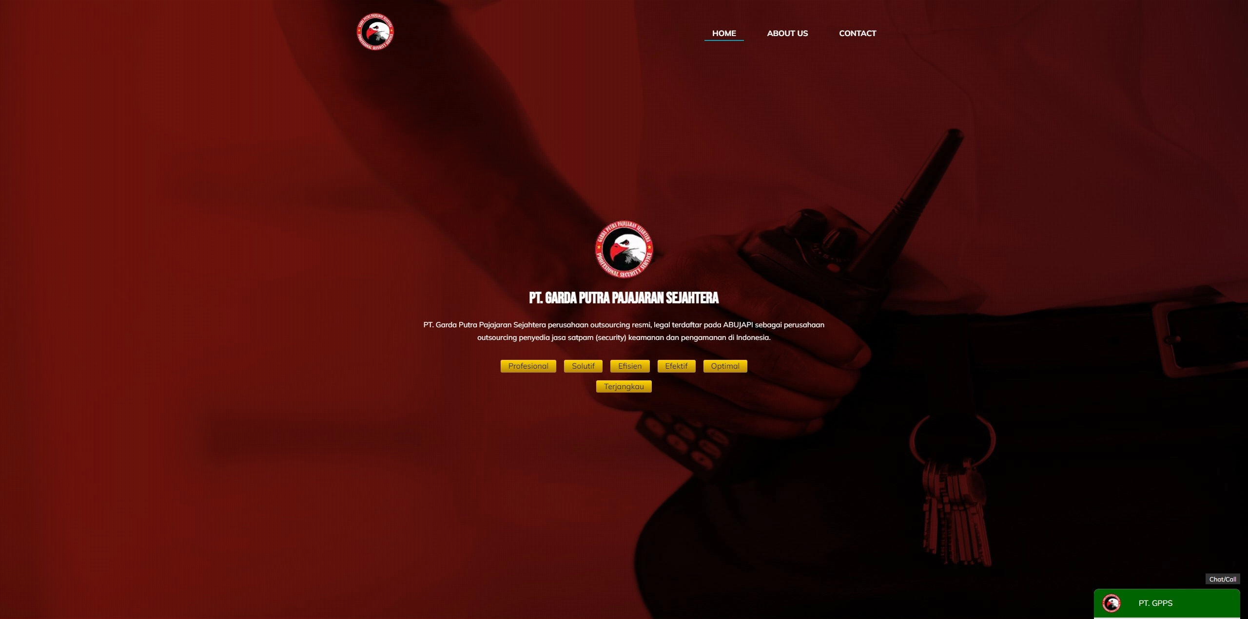 Profesional Web Developer Tangerang