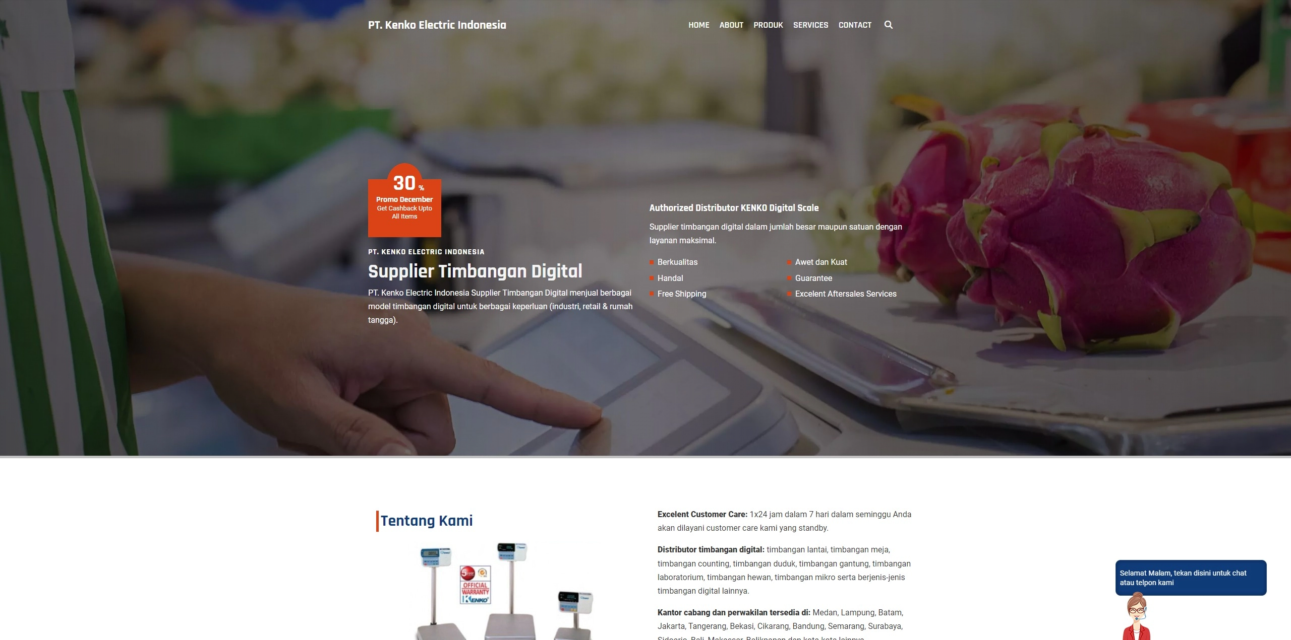 Web Developer Jasa Pembuatan Web WordPress, Laravel, Codeigniter Jakarta Pusat